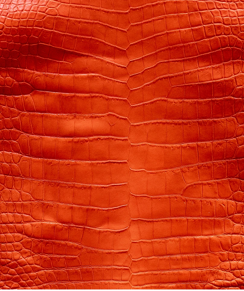 Arancio Ribelle