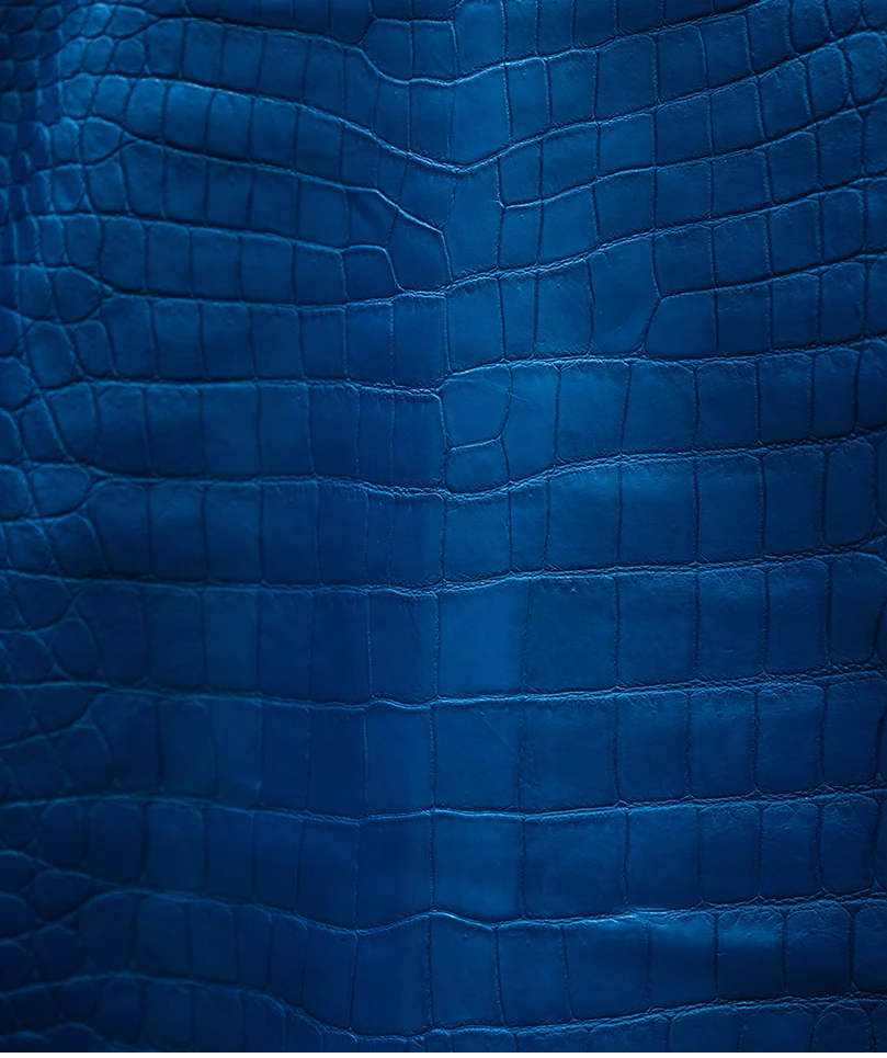 Blu Marino
