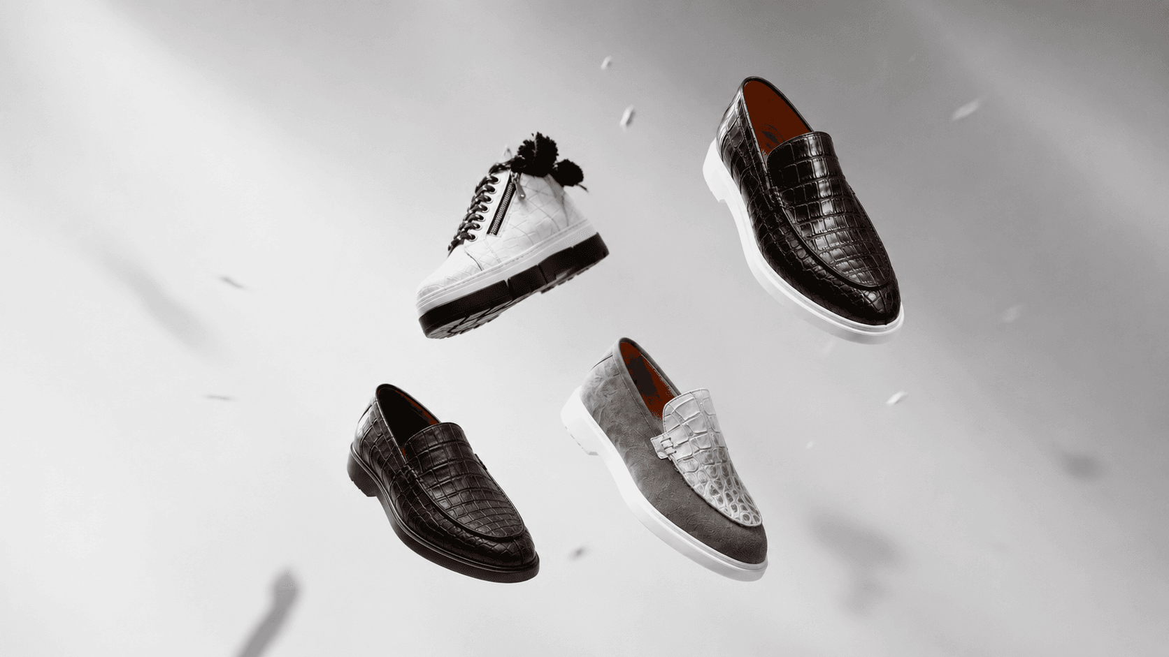 Crocodile & alligator